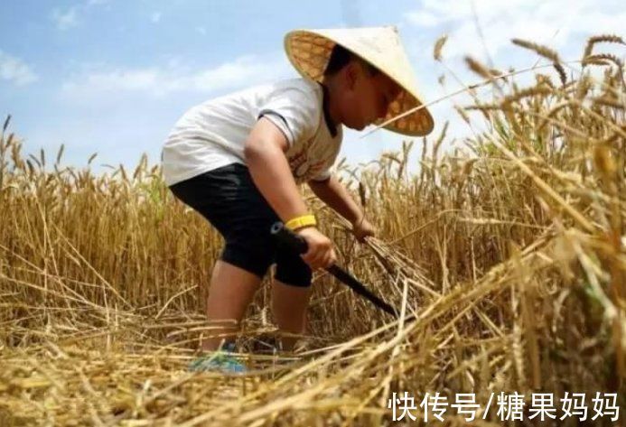 孩子|孩子的“大自然缺失症”悄悄蔓延，养娃过程中，勿忘与自然同行