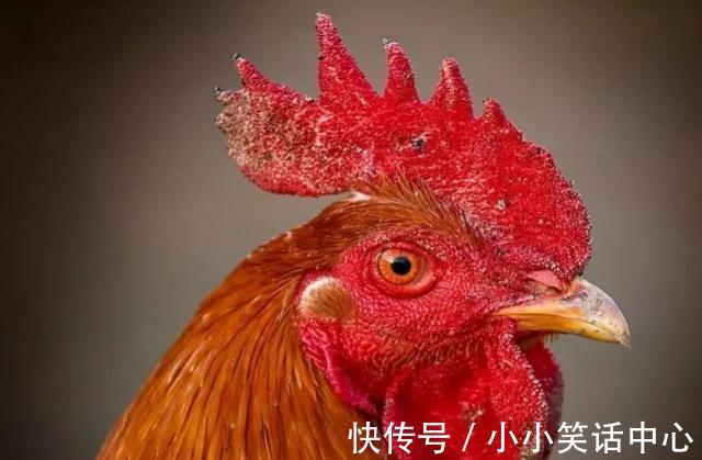 |今日笑话:关于前任,男生和女生不同看法