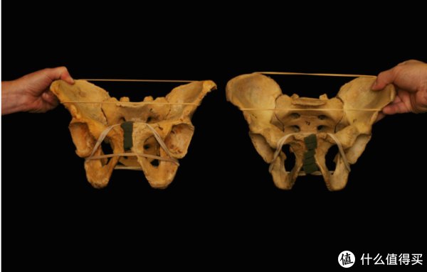 受试者|干货│如何正确找到完美的深蹲站距？