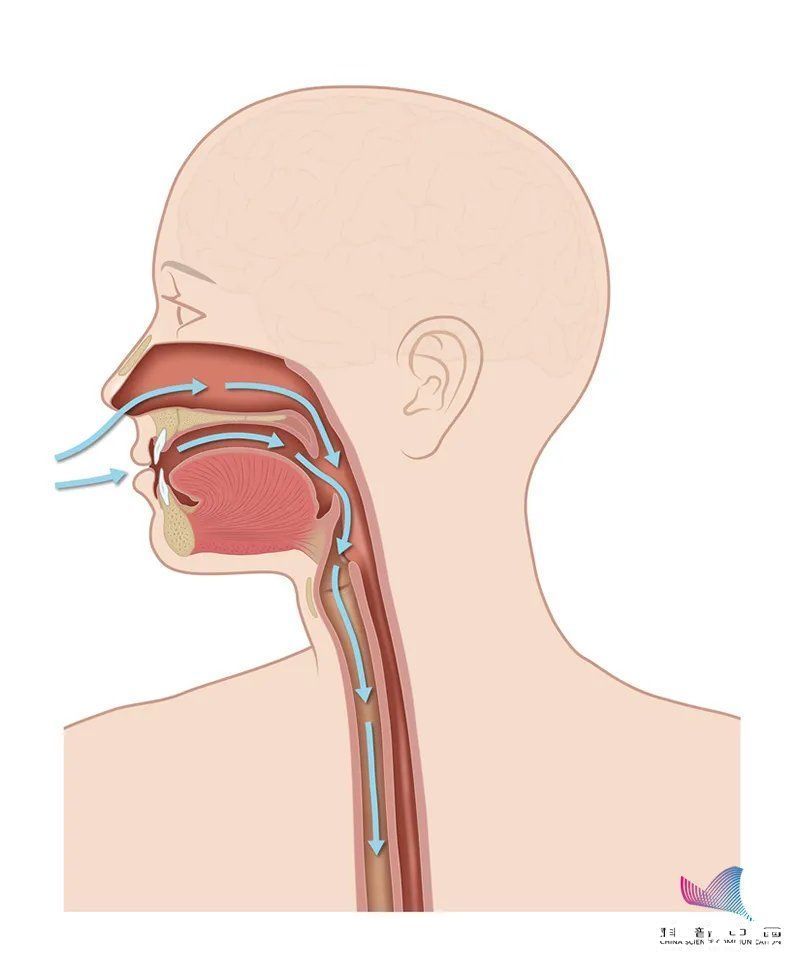 口唇|当心！经常用嘴呼吸，千万别不当回事！危害超乎想象