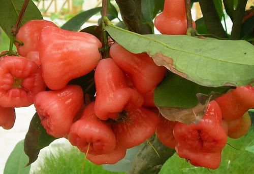 春季来了，多吃3种食物，排毒润肠，抗衰老，爱吃就赚了