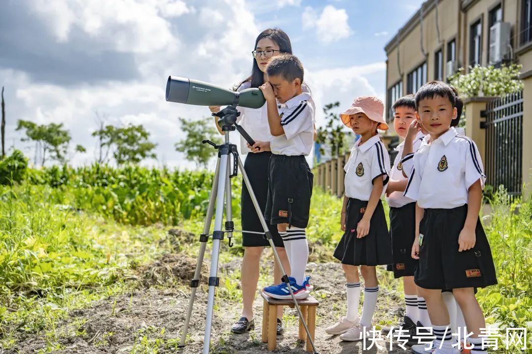 白鹭|小学生写信保住校园边“云间湿地”，一群叔叔阿姨动足脑筋……