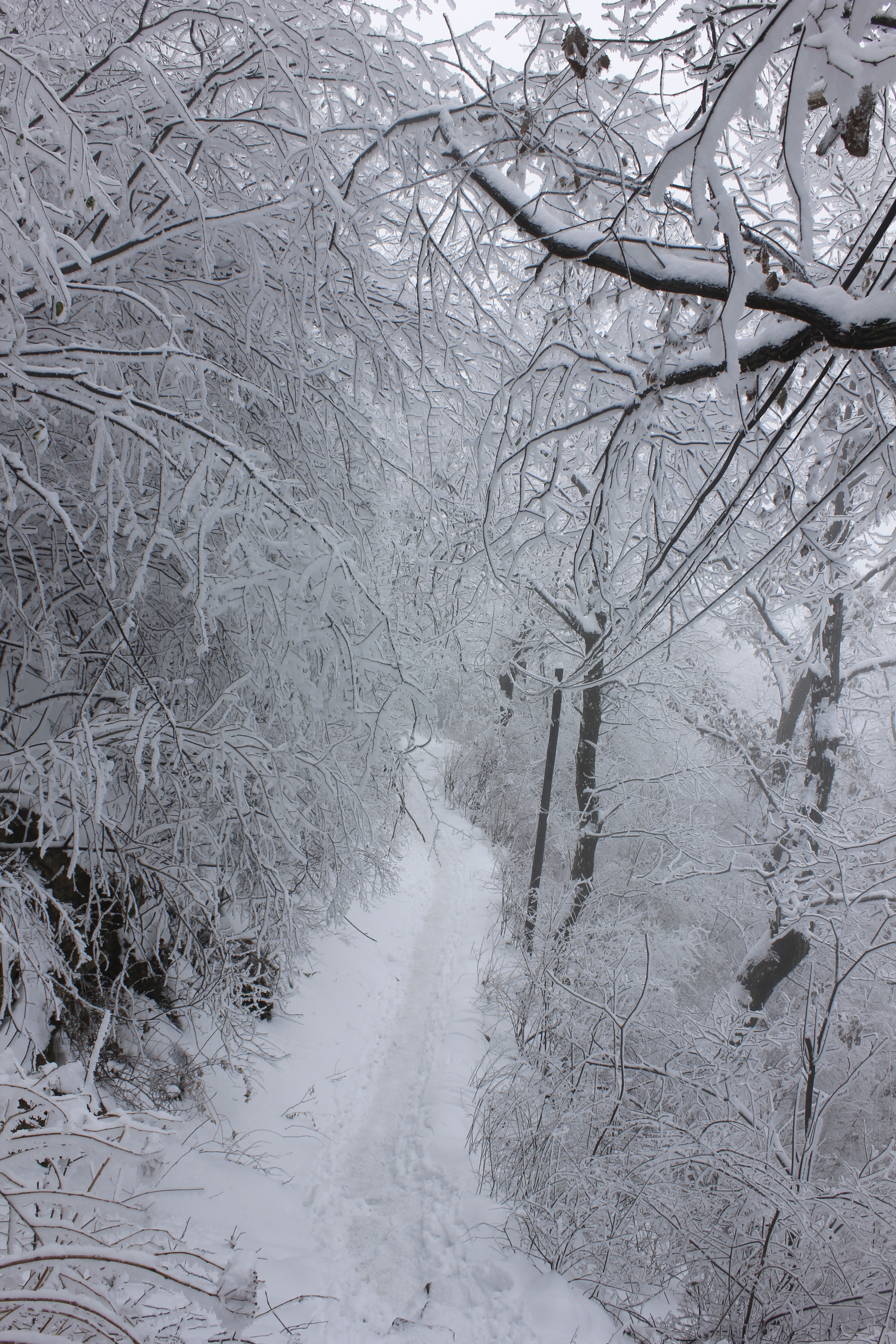 征集|【年末福利征集】雪后南五台幸遇云海