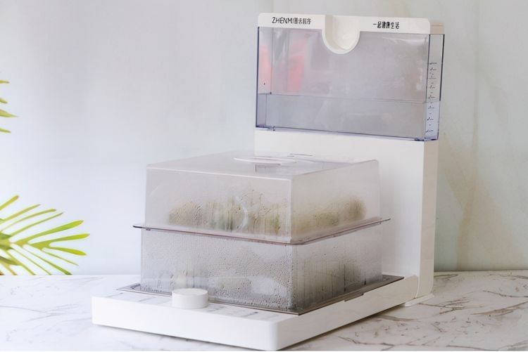 饺子皮新吃法,用来包成包子,皮薄馅儿多,真好吃