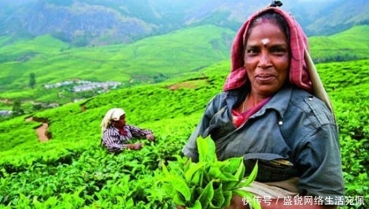 每家|印度人很奇怪,这东西那么贵,中国为何每家都有?中国人这样说