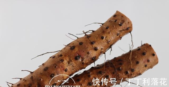 冬天，不吃肉也要吃的蔬菜，老人和孩子尤其要多吃，增强抵抗力！