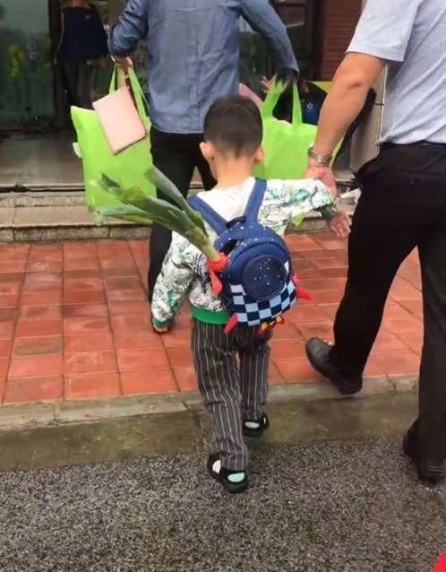 学校|孙子第一天上学,爷爷让孙子带葱去学校,网友:我跟清华就差根葱