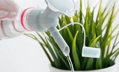 养花不能光从“选土”方面防范积水烂根，还得在浇水上下功夫