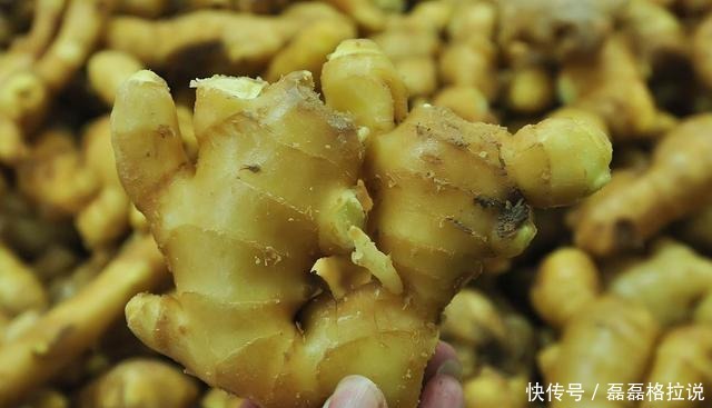 生姜别乱买,如果是这些生姜,白送也不要,宁可不吃也不买