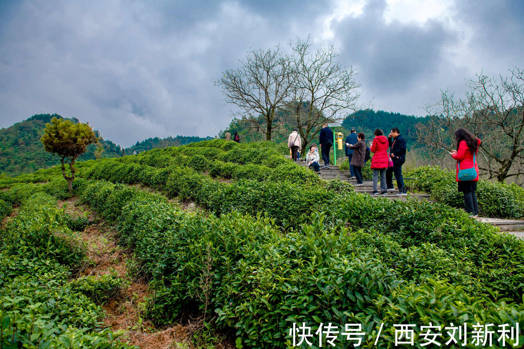 后湾村|赏商南后湾村 阳城驿 金丝峡美景 品鉴泉茗茶宴 商南小吃宴 金丝十三花