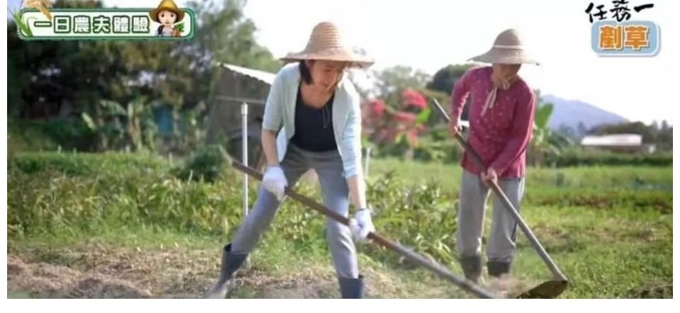 亲近|亲近大自然！陈自瑶「转行」当农夫 开启人生第一次耕田