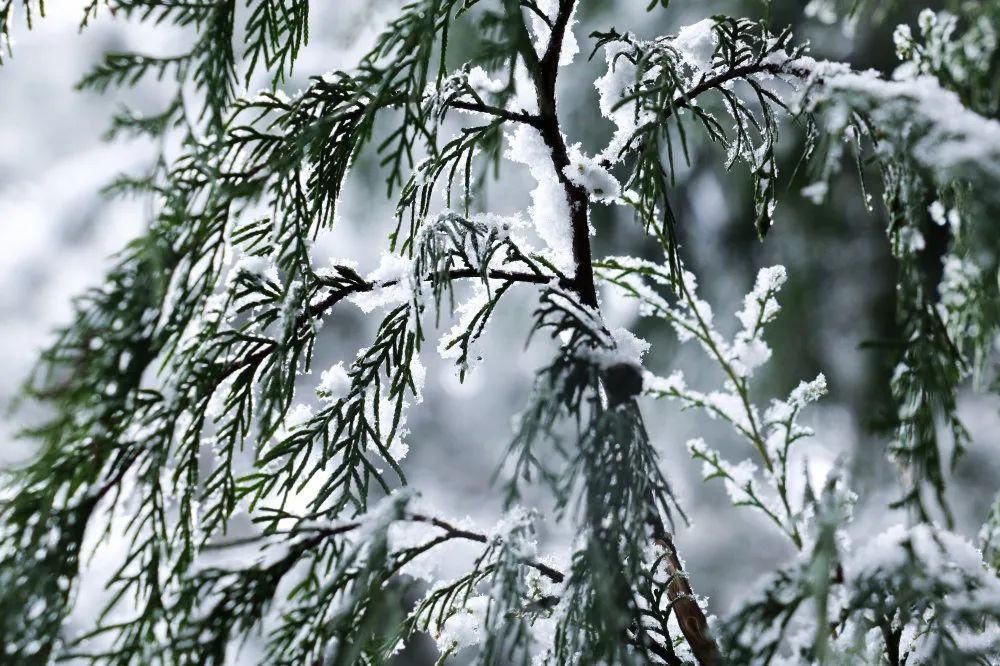 秘密|这个秘密只告诉你，刷爆朋友圈的广元雪景，都在这里了！