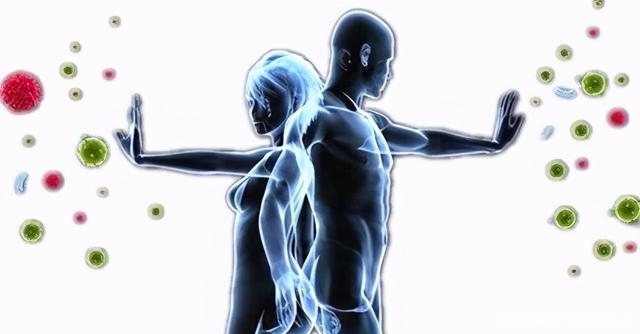 免疫力 人體健康的強健盾牌