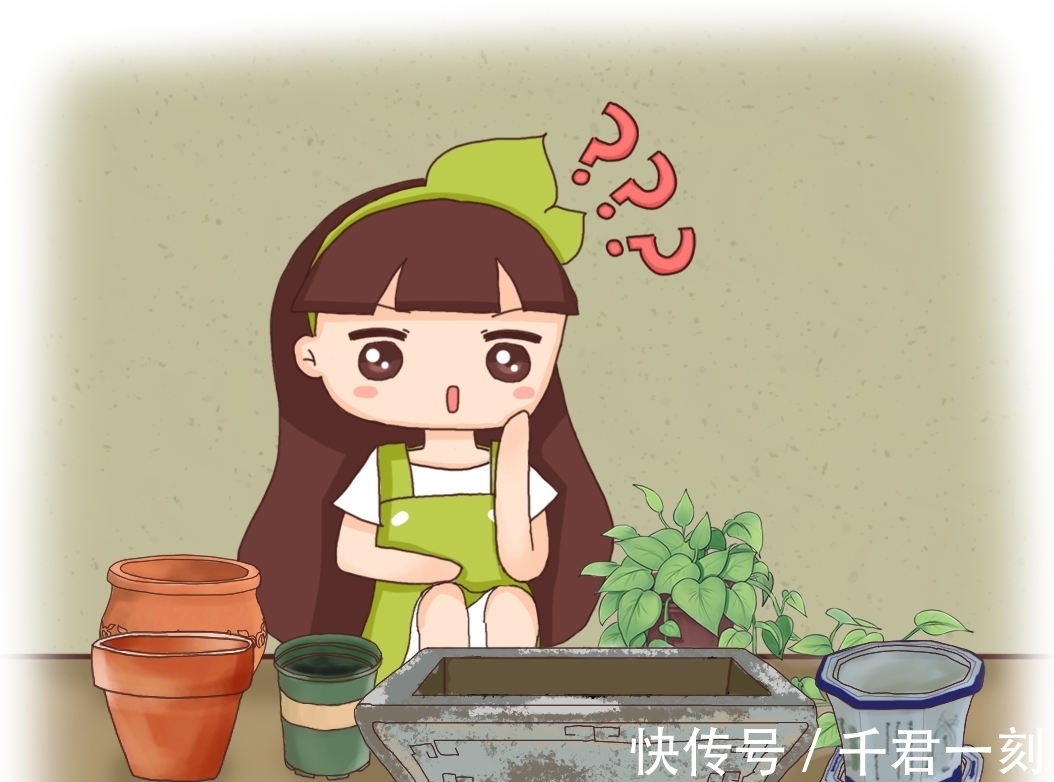 家庭|家庭养花,在盆底垫上这4种小东西,盆土透气又透水!