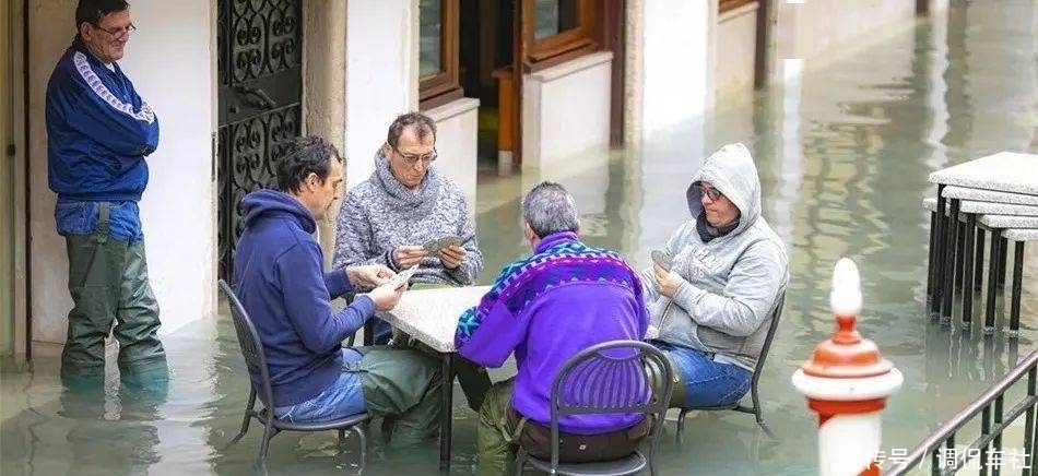 水城|谁说再不去威尼斯就没机会了，今年水城罕见传来好消息