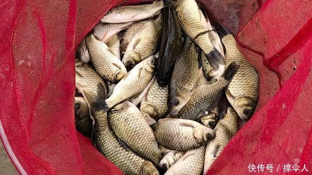 钓鱼新手要养成的四个好习惯,让你渔获翻倍---皇禾钓具