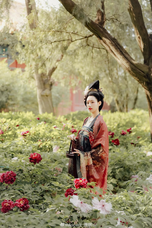 小姐姐$本以为唐制汉服够美了，直到看见“贵妃风”，才知道什么是精致