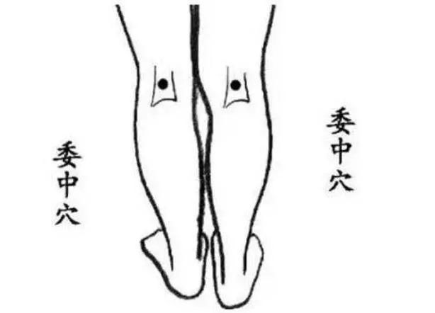 预防肿瘤|止痛、防癌，身上这几个“关键穴位”人人都应该知道~