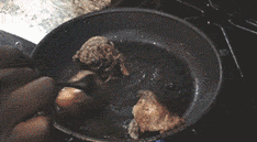 |搞笑GIF段子:美女的舌头很灵活嘛