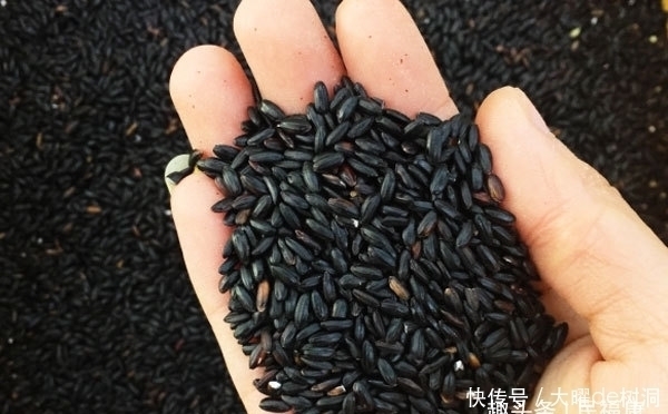 常吃|45岁至59岁是“养寿期”，多吃3黑，做好4戒，或能更长寿