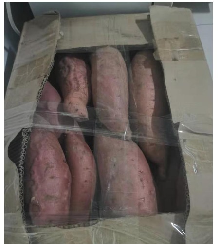 黄大娘|高血压人,能不能吃红薯长期吃红薯有什么好处说的清楚