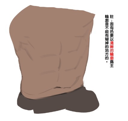 灵猫课堂|练不出腹肌我们可以画腹肌!教你腹肌上色的画法技巧!