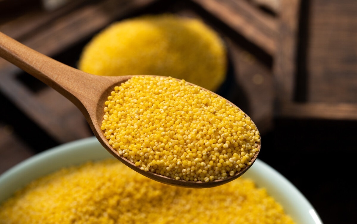 熬小米粥时,不要直接用水煮了,教你几个小诀窍,香浓黏稠更好喝