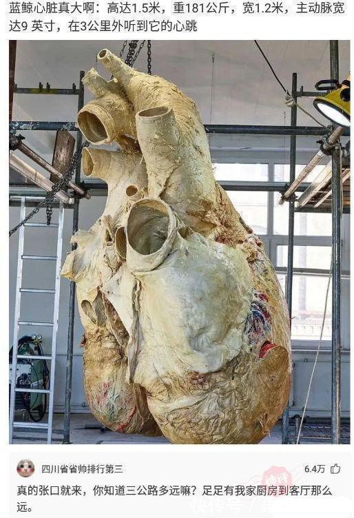 七仙女!“孙悟空定住了七仙女,为何什么都没干呢?”神评太优秀了哈哈哈