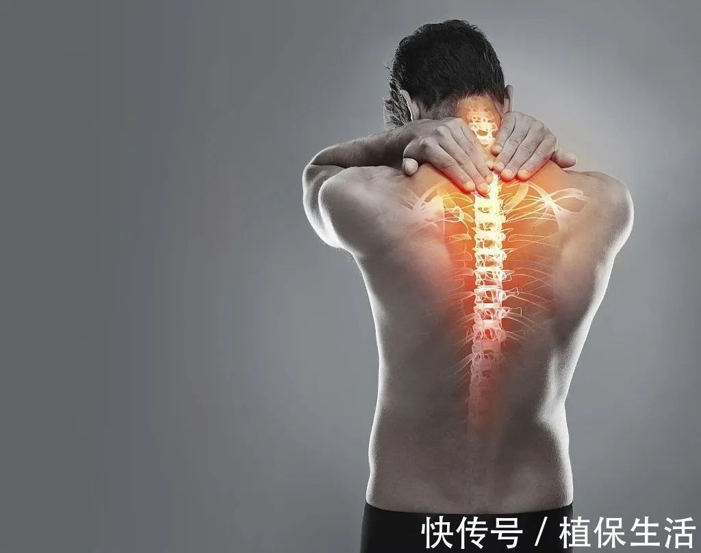 肋骨|打个喷嚏,腰就直不起来了!你为什么如此脆弱易折?