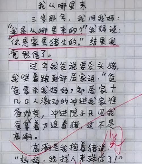 小学生作文 勤劳的妈妈 看完笑出鹅叫 爸爸 家丑不可外扬 快资讯