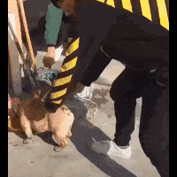 |搞笑GIF:日防夜防闺蜜难防