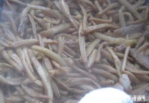 孩子要常吃的健脑菜，提高记忆力，补充多种氨