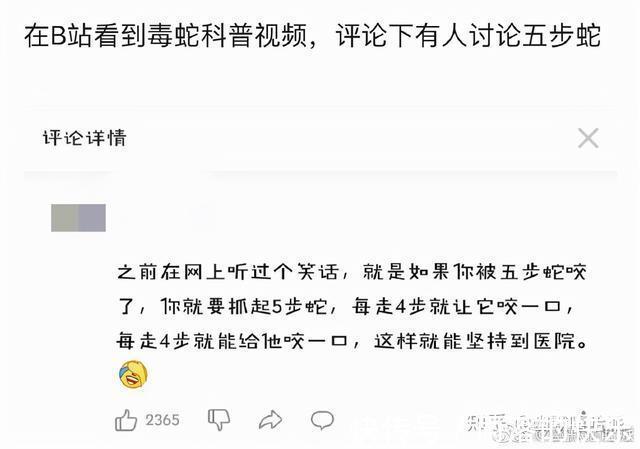 |开心一笑，爆笑图片段子：上个网课，卡成了恐怖片