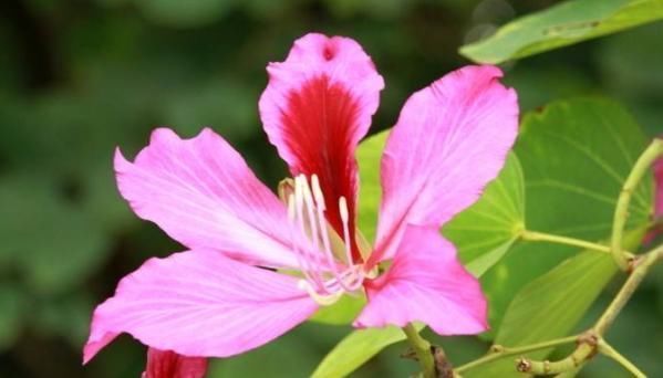 飞黄腾达&不善为人处世,背会这4句口诀,日后必定飞黄腾达