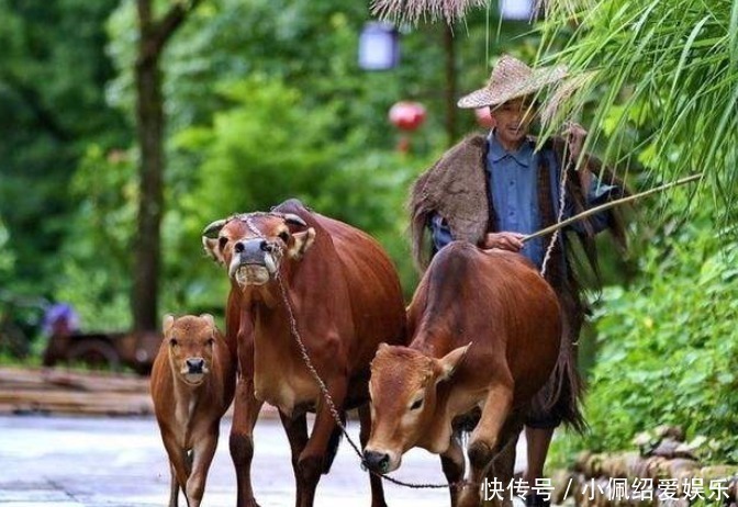 这个词#古人怎么称呼父亲?“爹”和“爸”到底有啥区别?老祖宗智慧高深