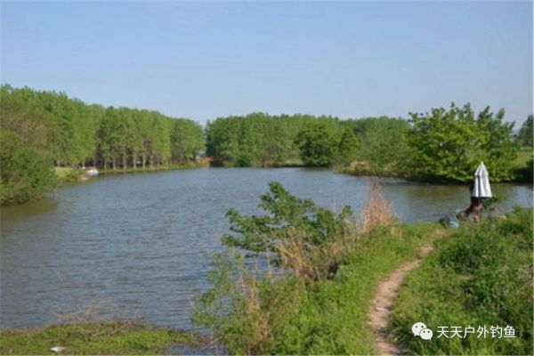 野河|野河钓鱼，找鱼窝的常用方法，找拐弯找水草，不过这种地形才最佳