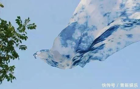 桃花源|20多岁的年龄差距,却把一个破烂的农家小院变成了“桃花源”