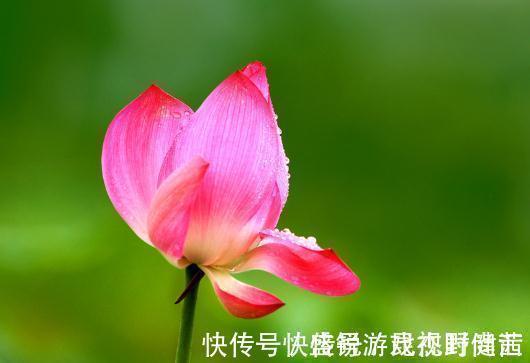 一身正气#真正有本事的人,为人处事时都有以下几个特点,值得交往