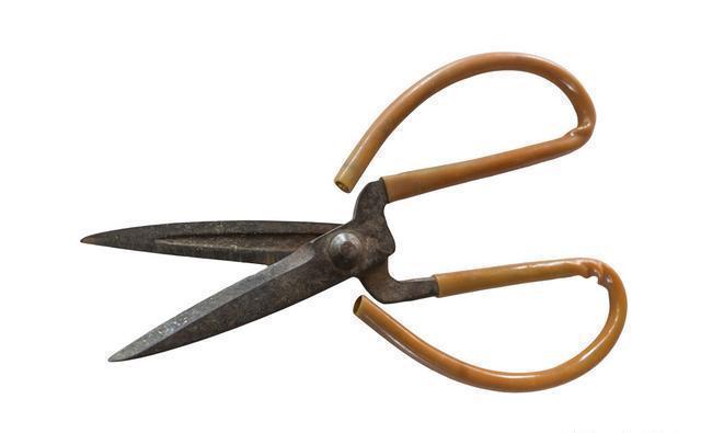 相同饵料相同线组,只因一把剪刀就多出半数渔获---皇禾钓具