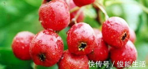 消化不良|山楂泡水喝的功效与作用及禁忌,千万要注意了,现在知道还不晚