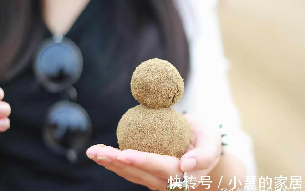 养好君子兰要先养好根,四种东西养根又护根,是多年经验的积累