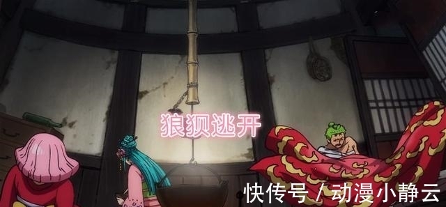 光月|海贼王935集:日和不愧是花魁,撒娇三连,轻松拿下索隆