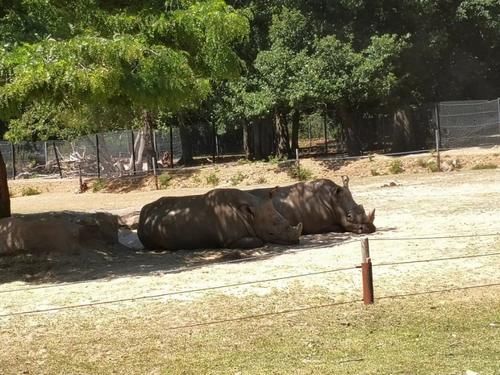 疫情|疫情期间的周末娱乐,留学菌带你逛逛野生动物园