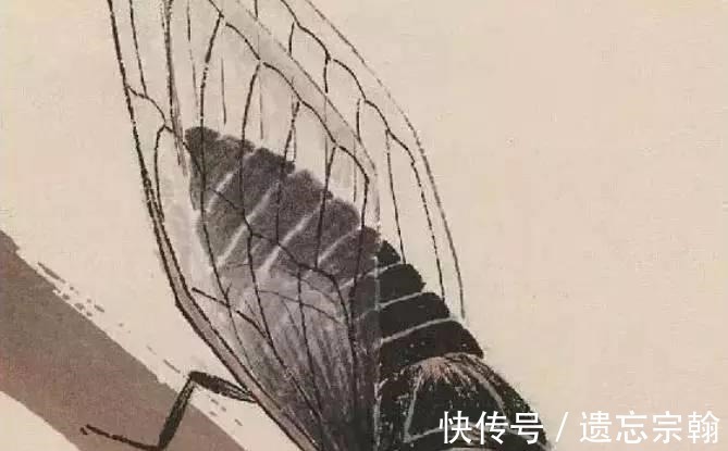 收藏价值@齐白石晚年画了一只“蝉”,为何价值8亿放大数倍后这是画吗