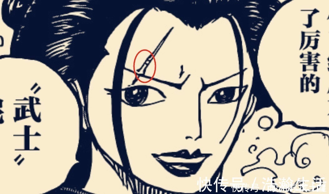 大和|海贼王984话马尔科又将阻止长子,大和曾和艾斯交过手!