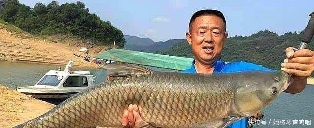 温度与钓鱼有啥关系弄懂这些关键问题，让大鱼咬钩不再难