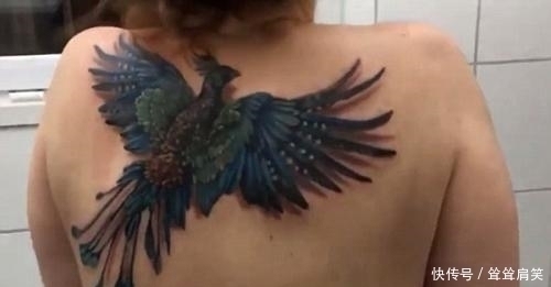 妹子|妹子在背后纹了凤凰被嘲土气,结果抖动肩膀,却让人大为惊叹!