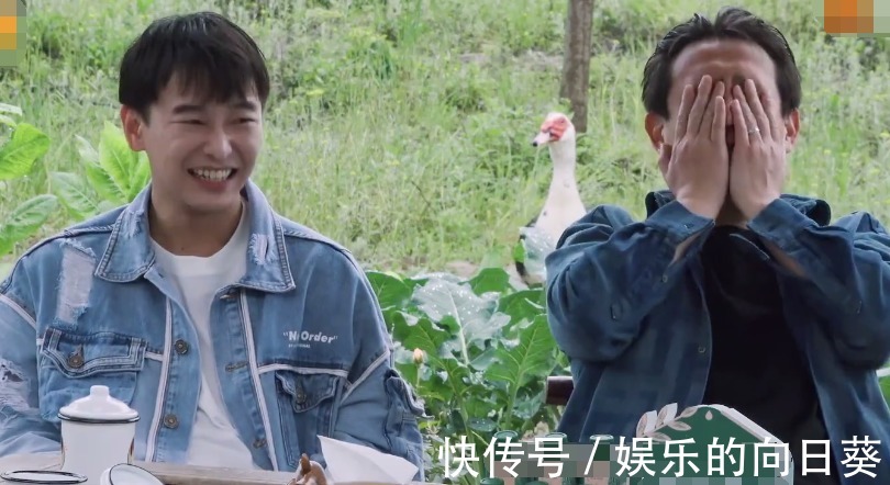 聊天|杨紫透露爱看《向往》，却喊错小H名字，跟黄磊彭彭聊天还露馅了！
