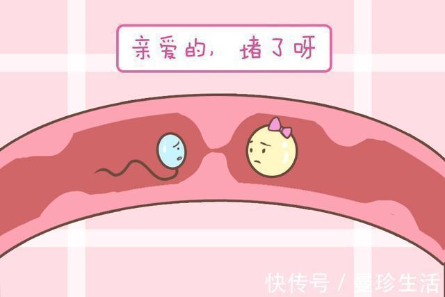 小美|女性子宫位置,决定了怀孕的难易程度,若有这些情况,是难孕体质