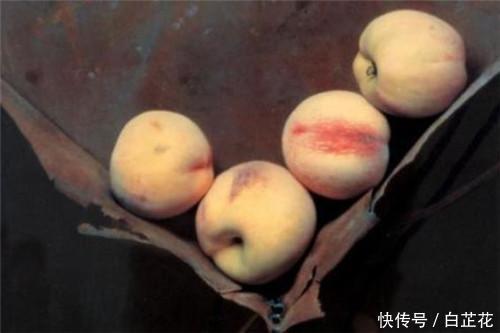 桃子!冷军画4个桃子,卖出六十七万,为何专家却说毫无美感?